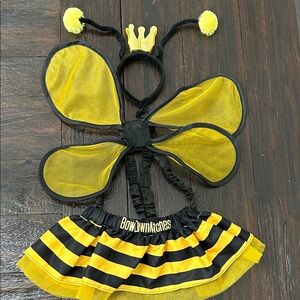 Dog bumble bee costume